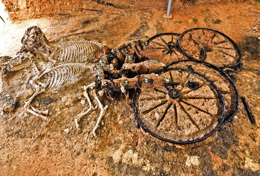 2000 Летняя Фракийская колесница